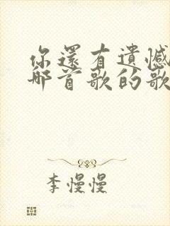 你还有遗憾吗是哪首歌的歌词