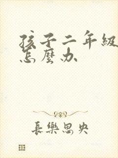 孩子二年级厌学怎么办封面