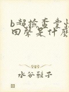 b超检查囊性无回声是什么原因封面