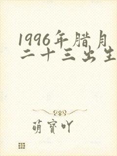 1996年腊月二十三出生是什么命