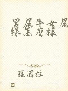 男属牛女属马姻缘怎么样封面