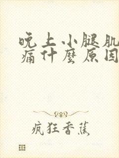 晚上小腿肌肉疼痛什么原因封面