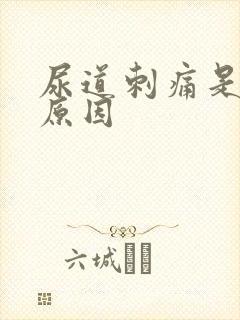 尿道刺痛是什么原因