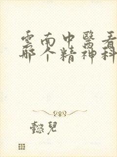 云南中医看抑郁哪个精神科医院好封面
