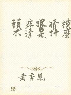 头疼眼睛模糊看不清是什么原因