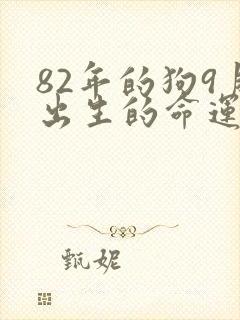 82年的狗9月出生的命运封面