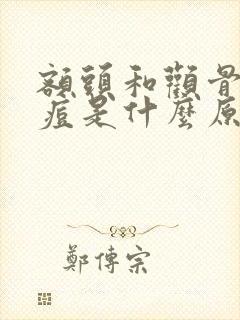 额头和颧骨长痘痘是什么原因