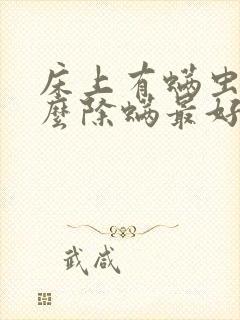 床上有螨虫用什么除螨最好