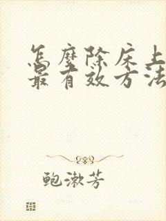 怎么除床上螨虫最有效方法