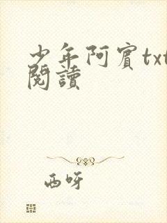 少年阿宾txt阅读