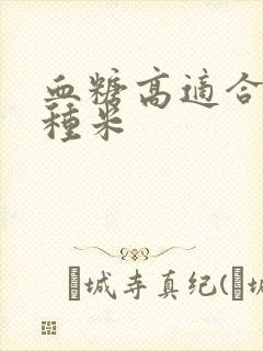 血糖高适合吃哪种米