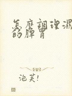 怎么调理湿气重的脾胃