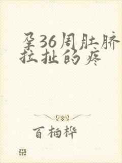 孕36周肚脐眼拉扯的疼