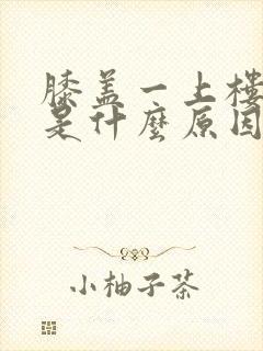 膝盖一上楼就疼是什么原因