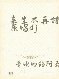 来生不再错过你原唱dj