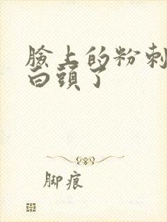 脸上的粉刺都冒白头了