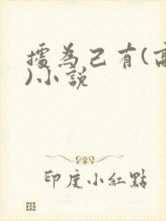 据为己有(高干)小说