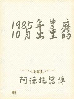 1985年农历10月出生的人命运