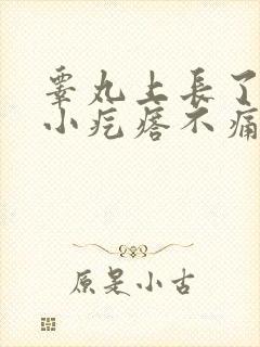 睾丸上长了一个小疙瘩不痛不痒