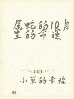 属蛇的10月出生的命运封面