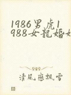 1986男虎1988女龙婚姻相配好吗封面