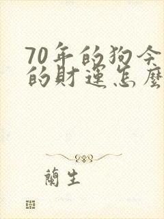 70年的狗今年的财运怎么样封面