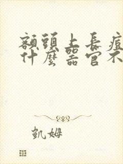 额头上长痘痘是什么器官不好
