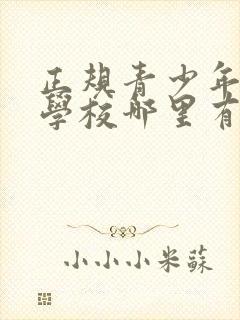 正规青少年叛逆学校哪里有