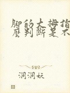 脚的大拇指疼怎么判断是不是痛风封面