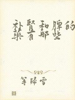 补肾和脾的中成药有哪些