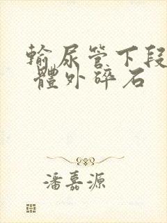 输尿管下段结石 体外碎石