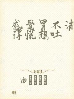 感觉胃不消化堵得慌想吐