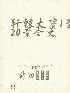 轩辕大宝1至720章全文