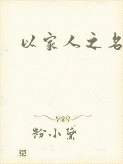以家人之名小说