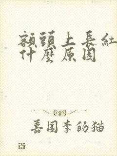 额头上长红疙瘩什么原因