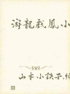 游龙戏凤小说封面