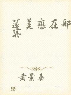 莲美恋在哪看全集封面