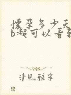 怀孕多少天腹部b超可以看到孕囊封面