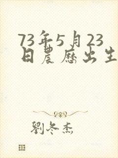 73年5月23日农历出生男命