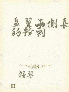 鼻翼两侧长白色的粉刺