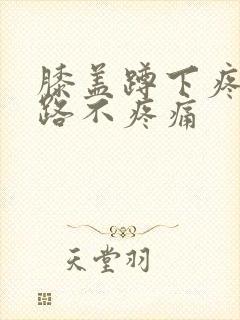 膝盖蹲下疼但走路不疼痛封面