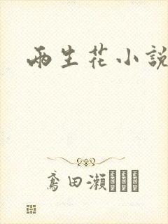 两生花小说