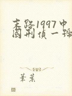末路1997中国刑侦一号案电视剧封面