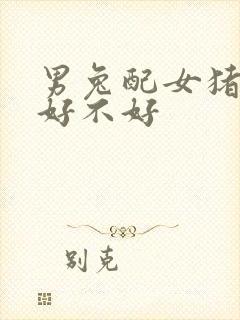 男兔配女猪婚配好不好