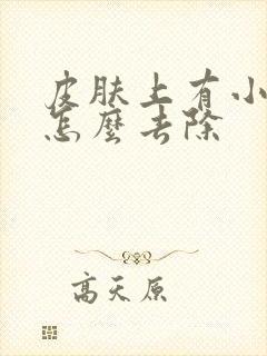 皮肤上有小肉粒怎么去除