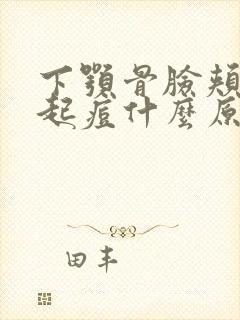 下颚骨脸颊两侧起痘什么原因