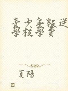 青少年叛逆封闭学校学费