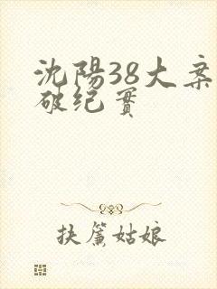 沈阳38大案侦破纪实