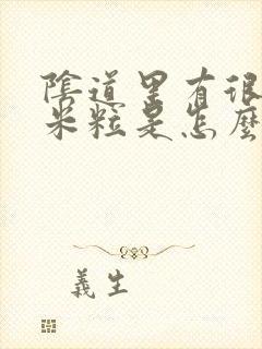 阴道里有很多小米粒是怎么了封面