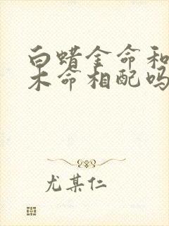 白蜡金命和杨柳木命相配吗